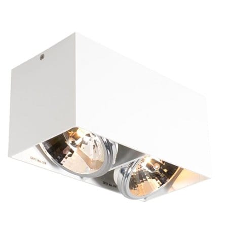 Lampa sufitowa Box biała 2 punktowa ruchoma typu downlight