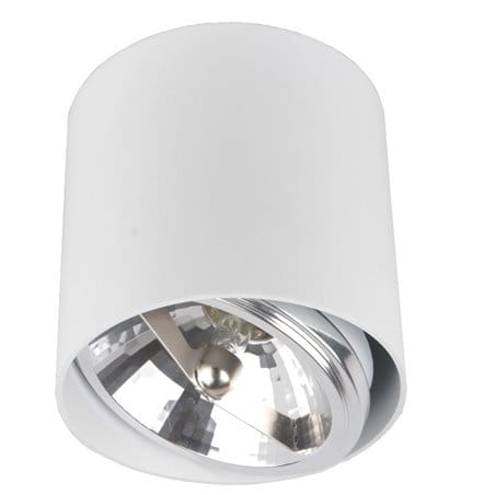 Lampa sufitowa downlight Box biała okrągła ruchoma G9