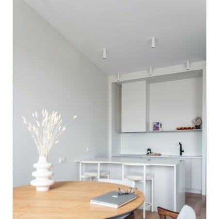Biała lampa sufitowa typu downlight Santi walec wysokość 20cm do salonu sypialni kuchni jadalni na hol